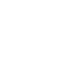 Maximum Slim Original Green Coffee | Premium Unroasted Arabica Blend (30 Ct)