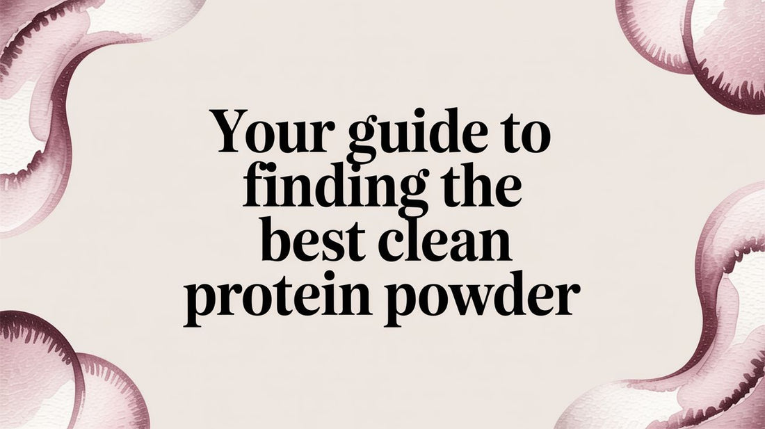 Your Guide to Finding the Best Clean Protein Powder