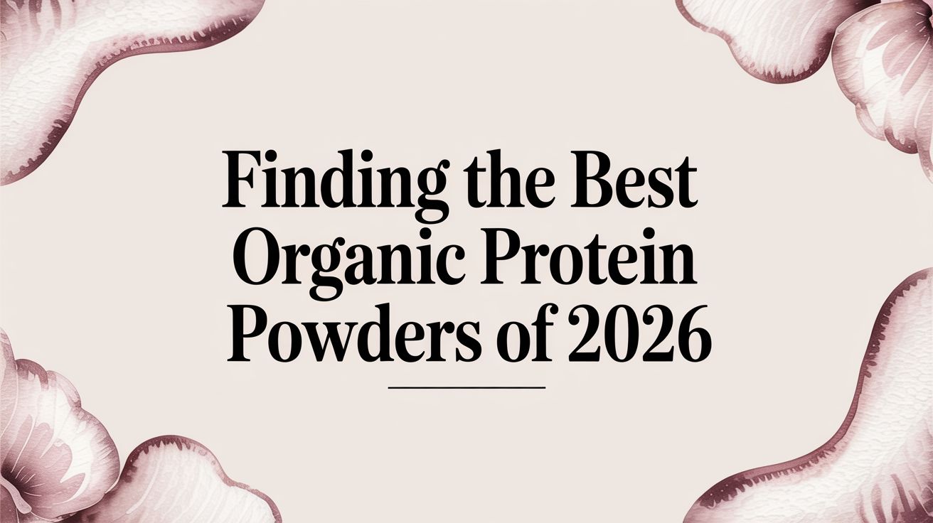 Finding the Best Organic Protein Powders of 2026