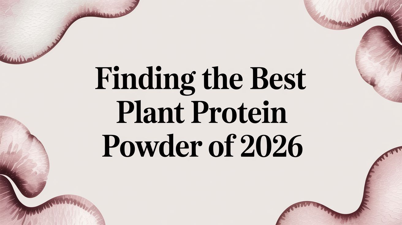 Finding the Best Plant Protein Powder of 2026
