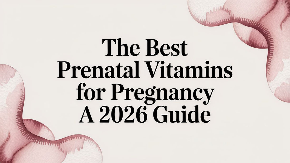 The Best Prenatal Vitamins for Pregnancy A 2026 Guide