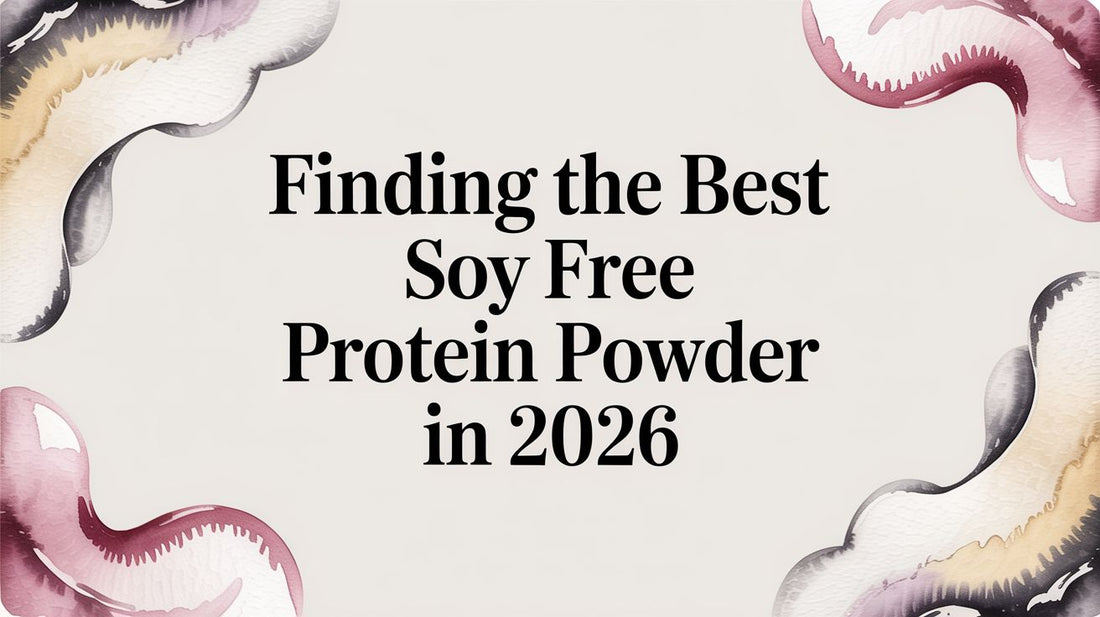 Finding the Best Soy Free Protein Powder in 2026