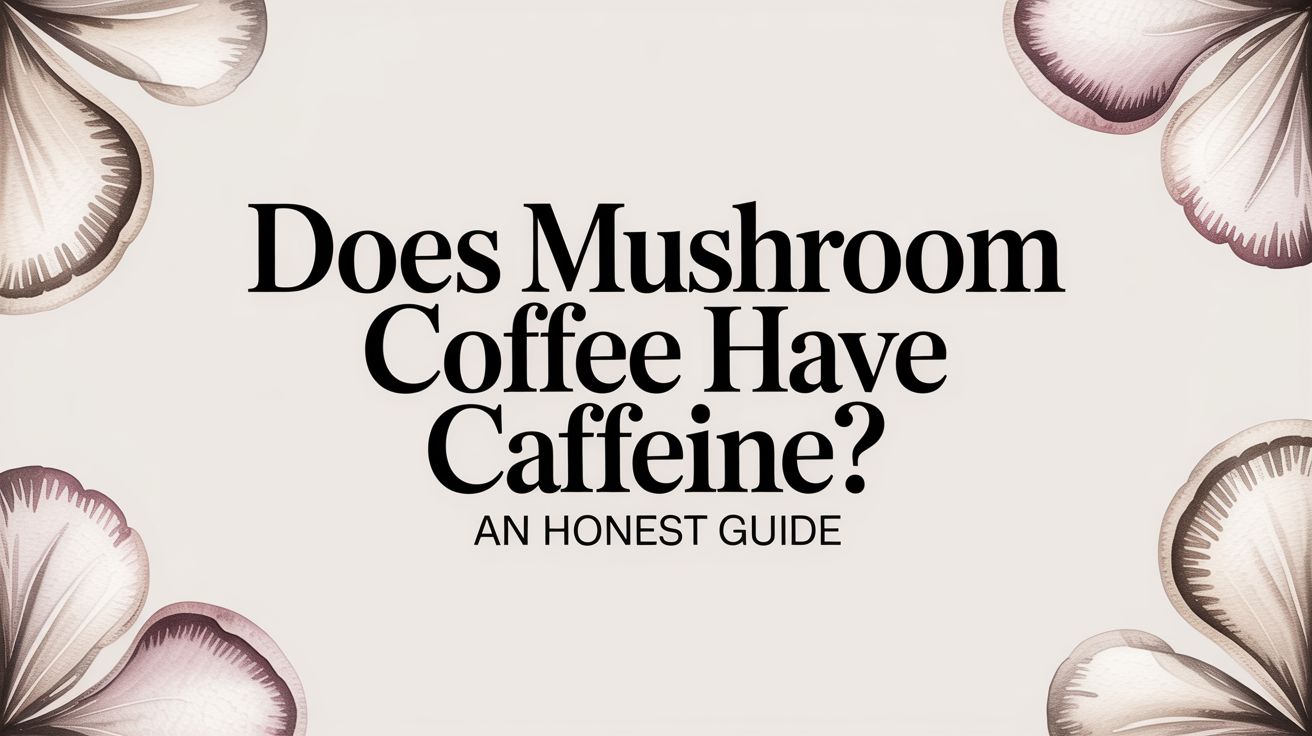 Does Mushroom Coffee Have Caffeine? An Honest Guide