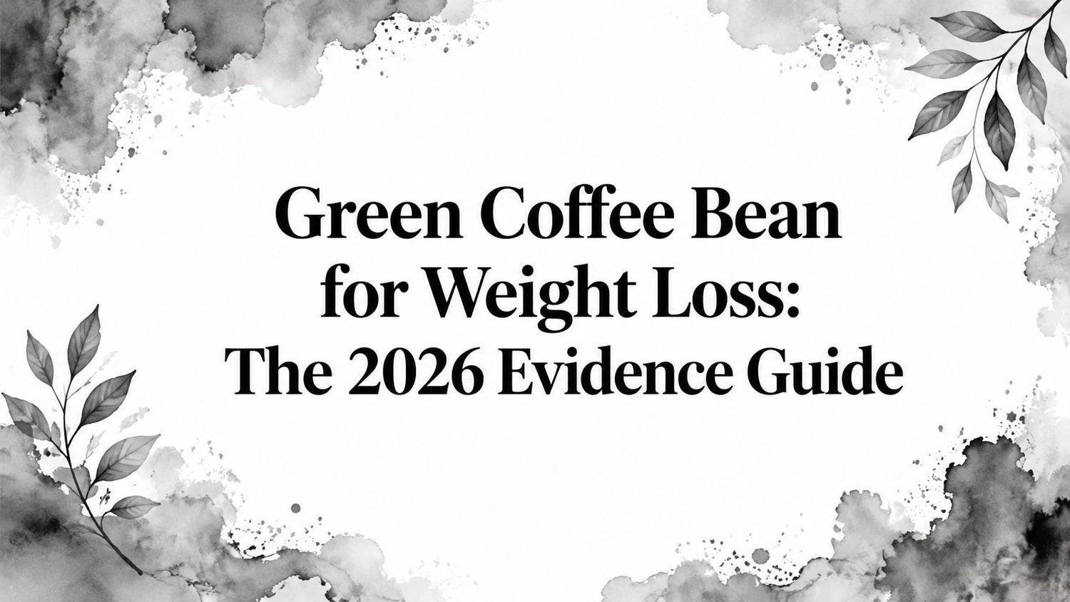 Green Coffee Bean for Weight Loss: The 2026 Evidence Guide