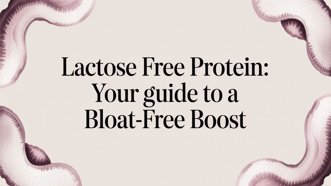 Lactose Free Protein: Your Guide to a Bloat-Free Boost