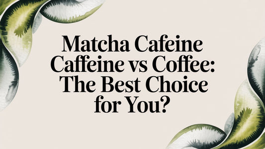 Matcha Caffeine vs Coffee: The Best Choice for You?