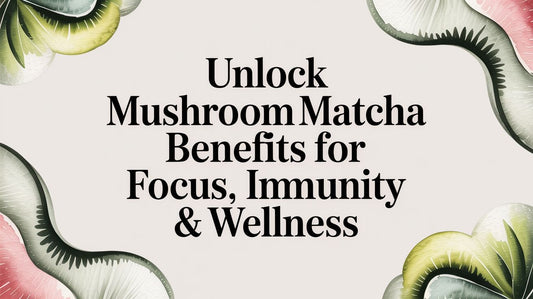 Unlock Mushroom Matcha Benefits for Focus, Immunity & Wellness