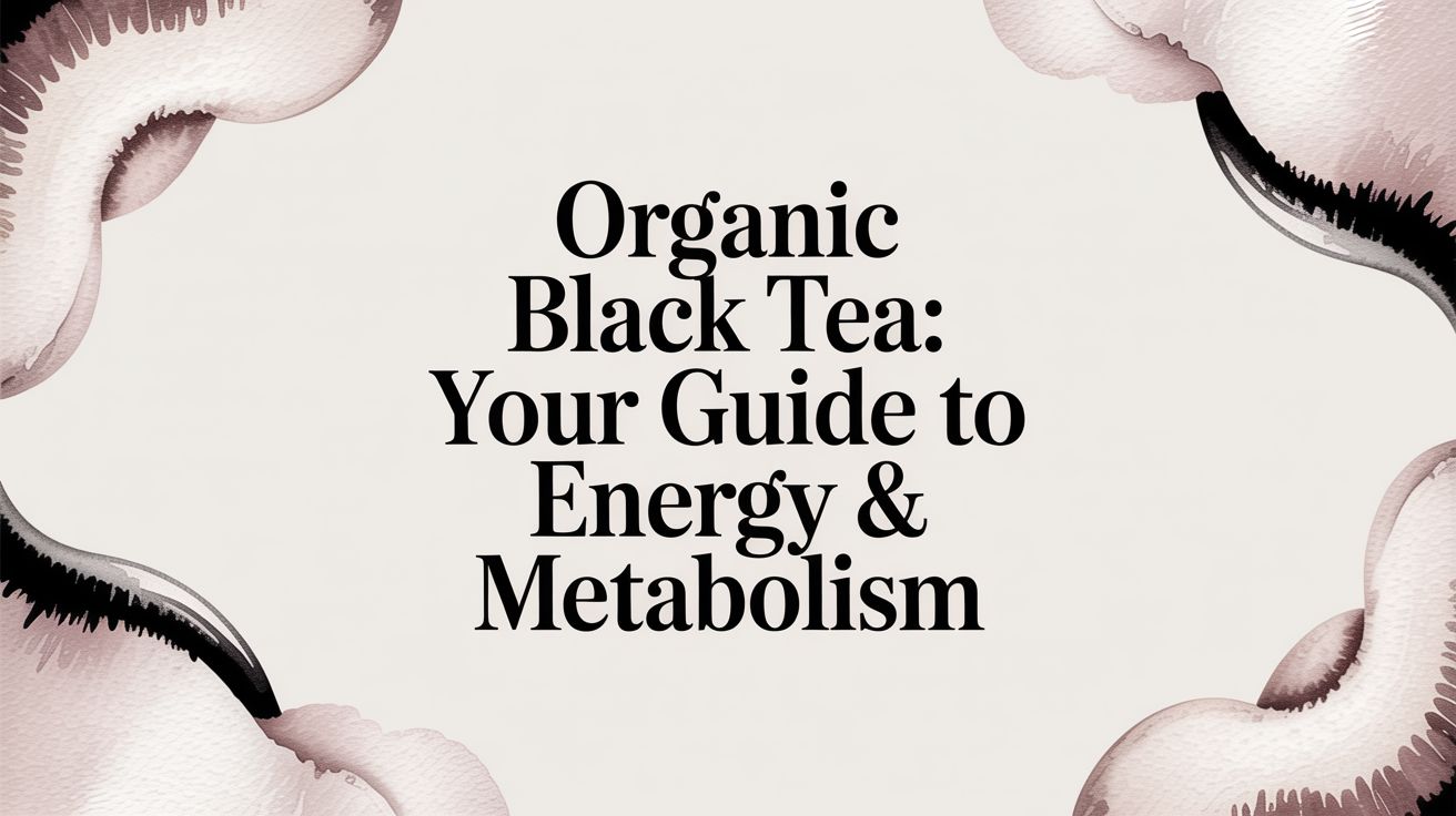 Organic Black Tea: Your Guide to Energy & Metabolism
