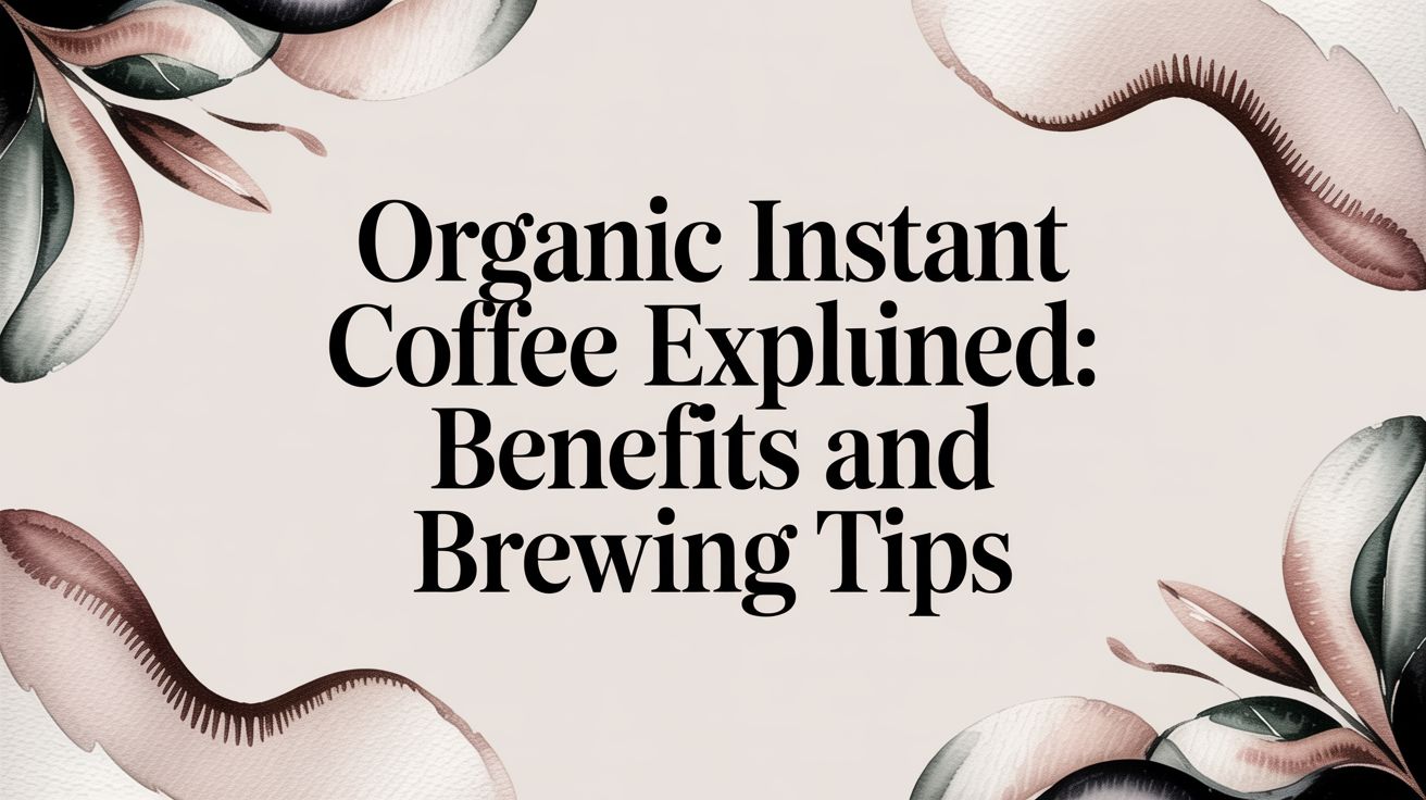 Organic Instant Coffee Explained: Benefits and Brewing Tips