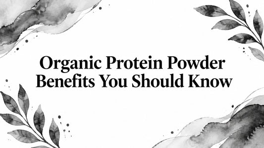 Organic Protein Powder Benefits You Should Know