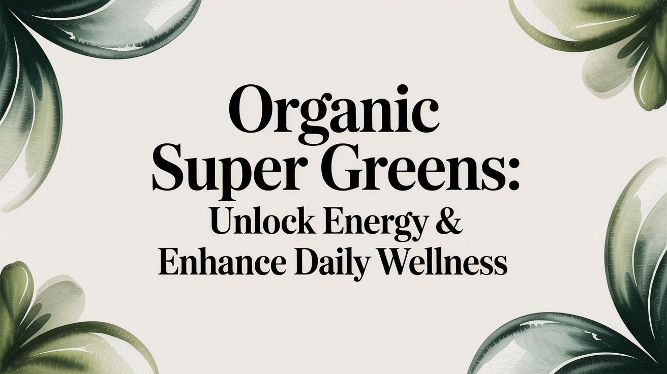 Organic Super Greens: Unlock Energy & Enhance Daily Wellness