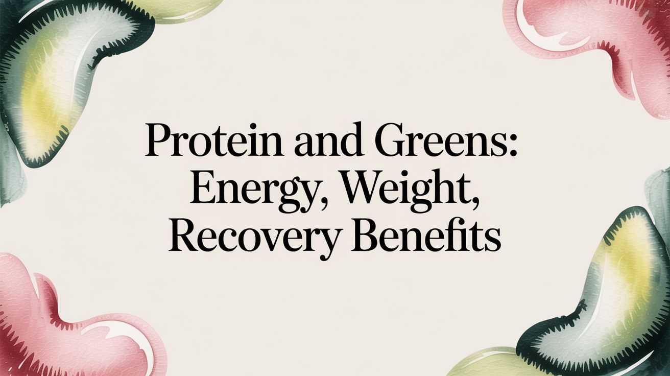 Protein and Greens: Energy, Weight, Recovery Benefits