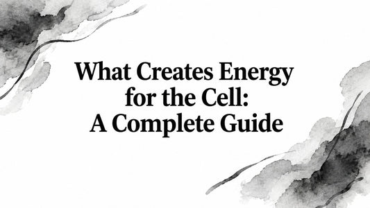 What Creates Energy for the Cell: A Complete Guide
