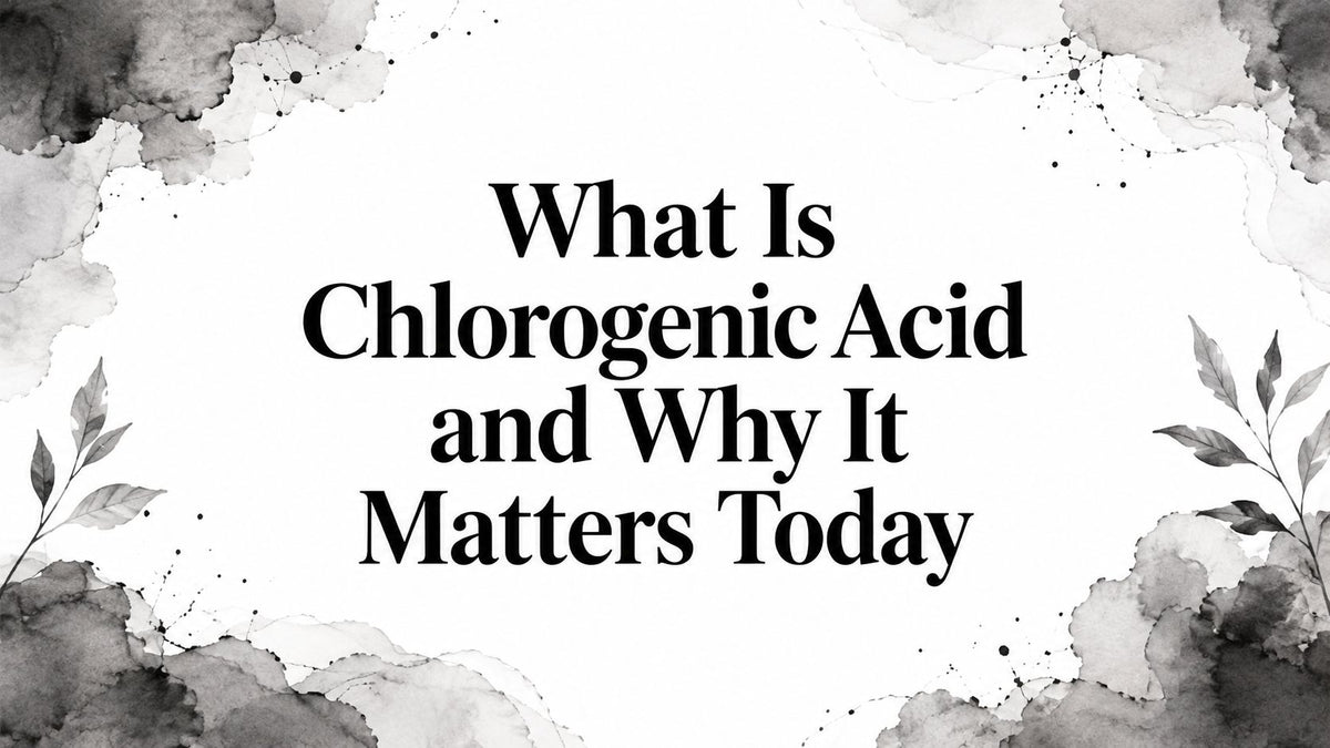 What Is Chlorogenic Acid and Why It Matters Today