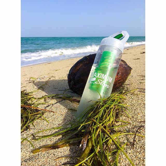Maximum Slim Fruit Infuser Water Bottle