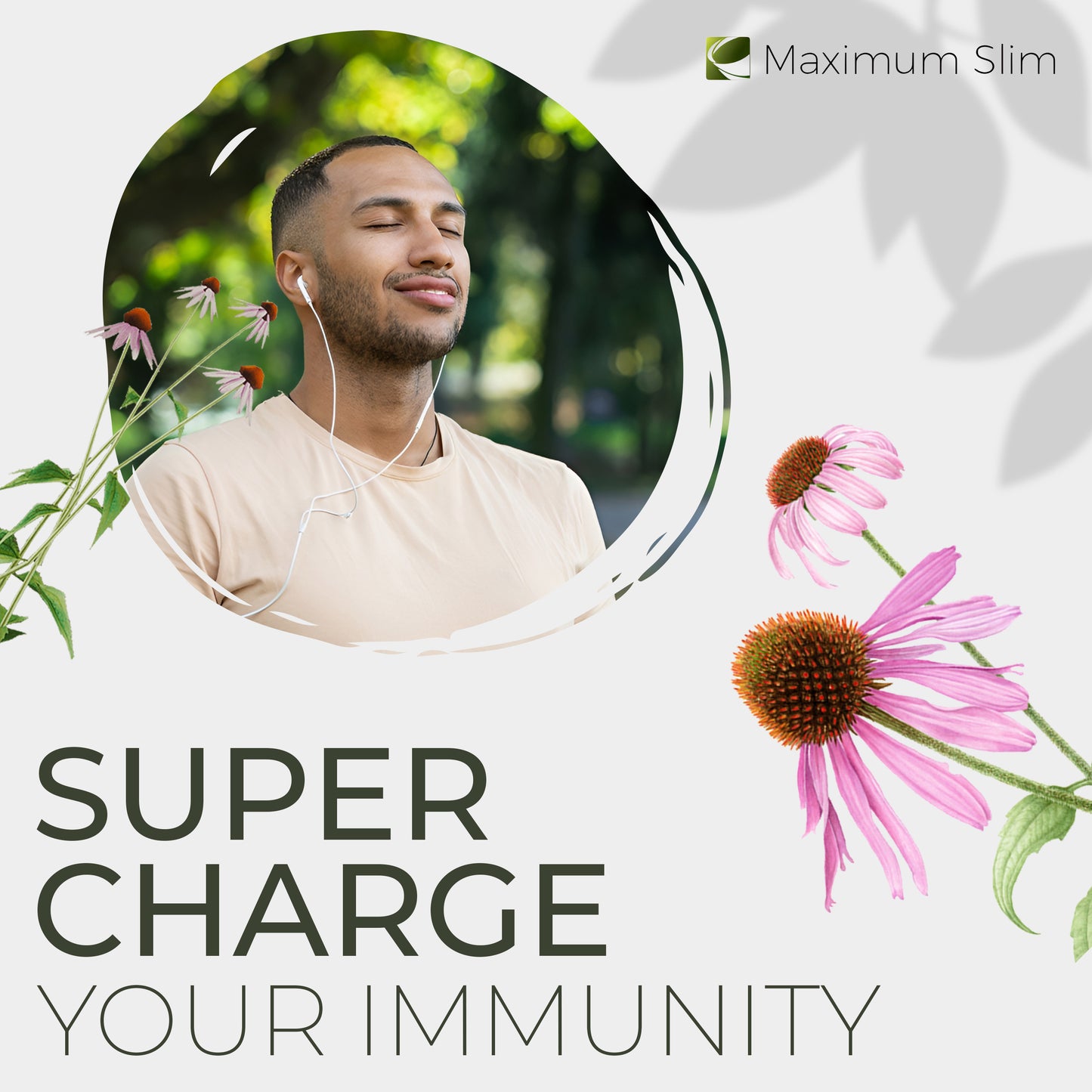 Immunity Tea - Maximum Slim | Herbal Blend to Support Immune Health