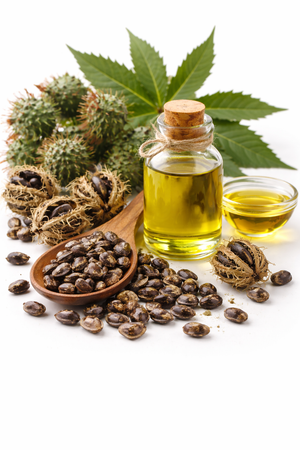 Black Castor Oil Seeds