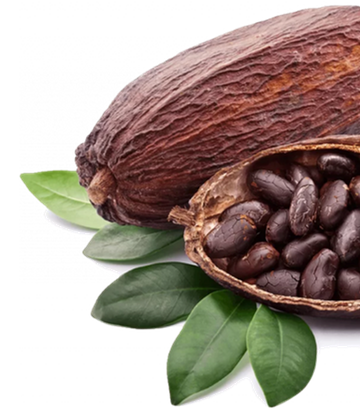 Organic Cocoa