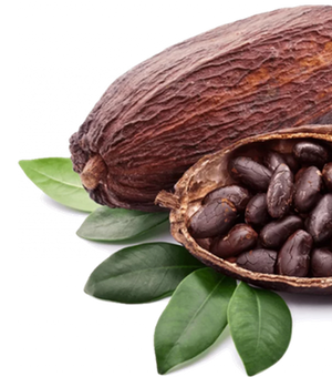 Organic Cocoa