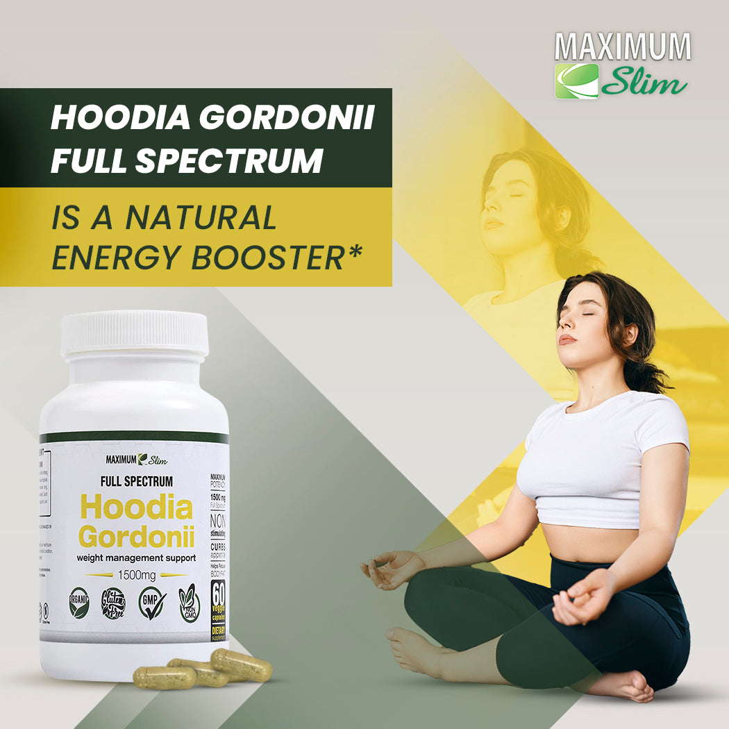 Maximum Slim Hoodia Gordonii Full Spectrum | Supports Appetite Control Naturally