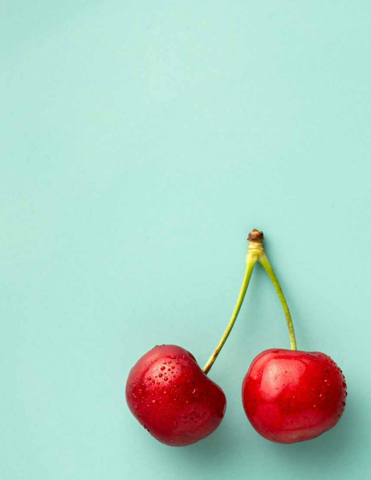 Flat Belly Smoothie Mix - Maximum Slim | Tasty Blend for a Balanced Diet