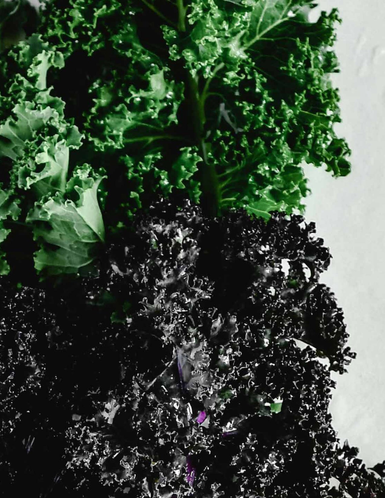 Flat Belly Smoothie Mix - Maximum Slim | Tasty Blend for a Balanced Diet