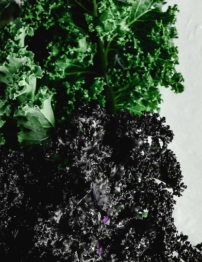 Flat Belly Smoothie Mix - Maximum Slim | Tasty Blend for a Balanced Diet