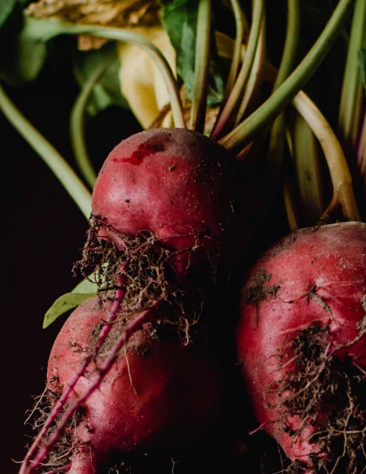 Flat Belly Smoothie Mix - Maximum Slim | Tasty Blend for a Balanced Diet