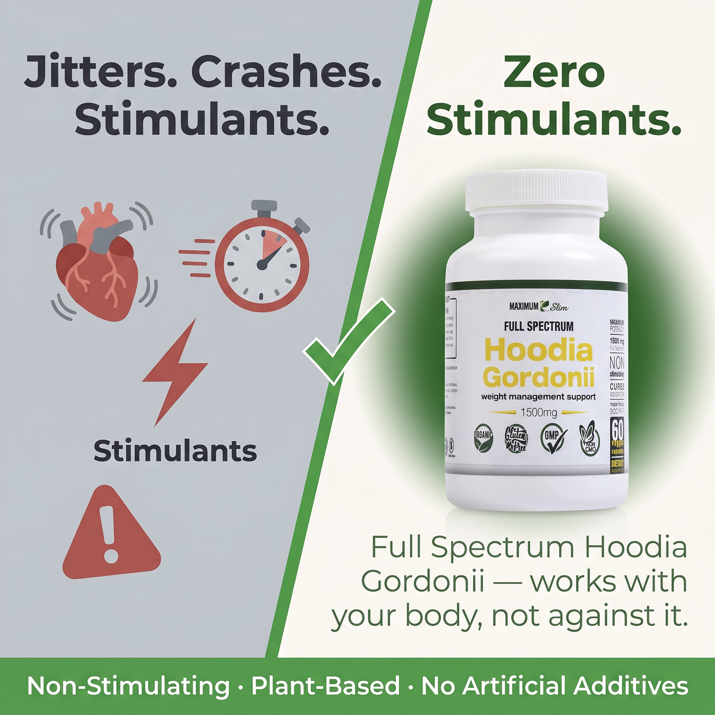 Maximum Slim Hoodia Gordonii Full Spectrum | Daily Wellness Support