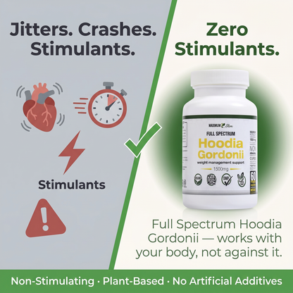 Maximum Slim Hoodia Gordonii Full Spectrum | Daily Wellness Support