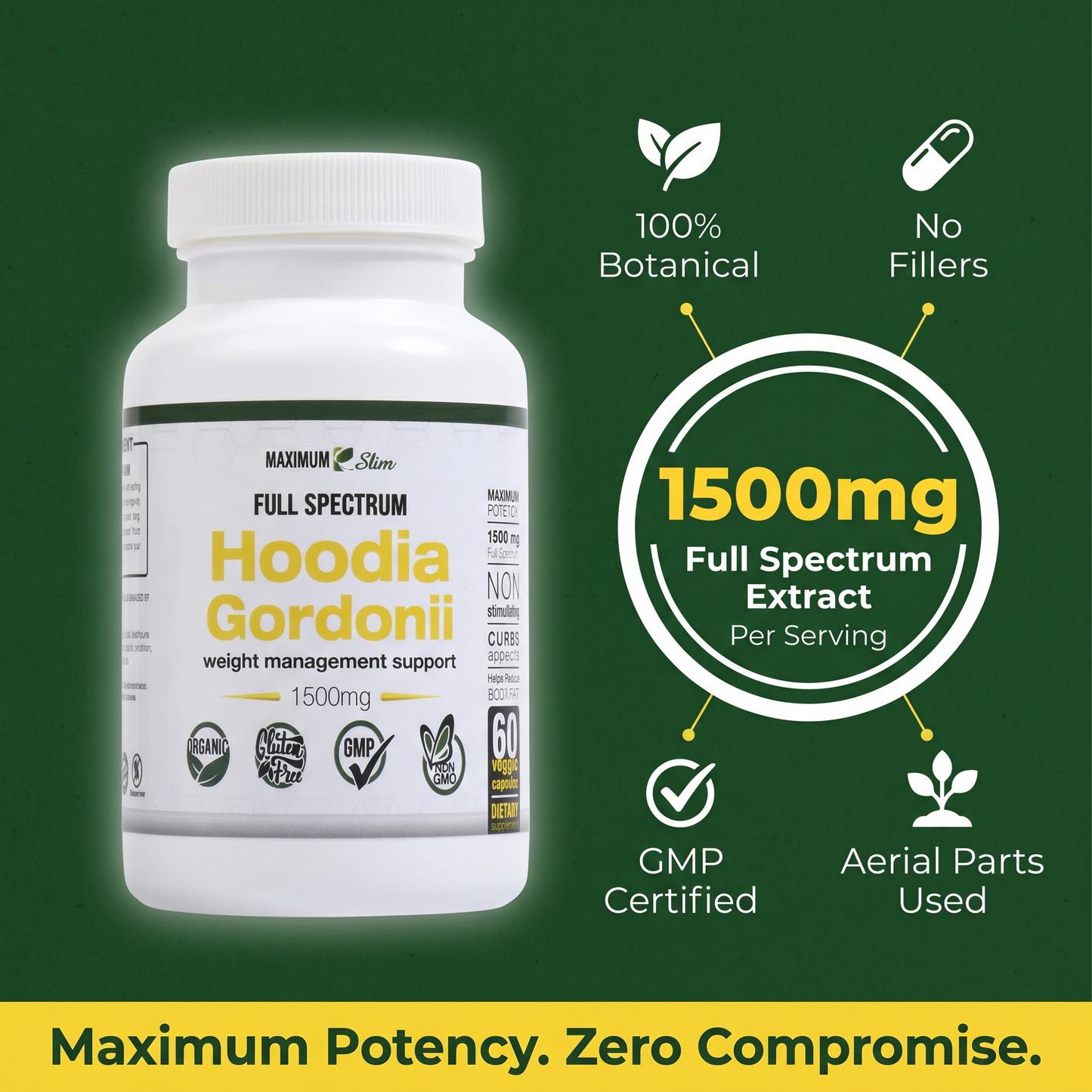 Maximum Slim Hoodia Gordonii Full Spectrum | Daily Wellness Support
