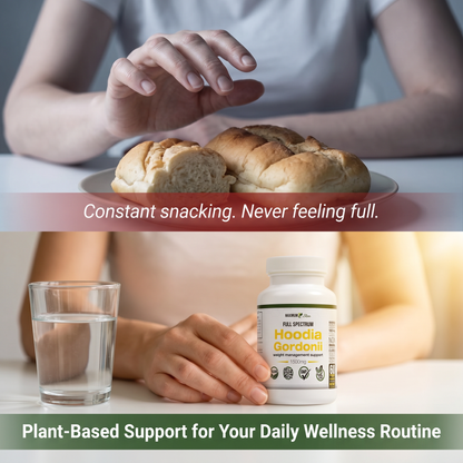 Maximum Slim Hoodia Gordonii Full Spectrum | Daily Wellness Support
