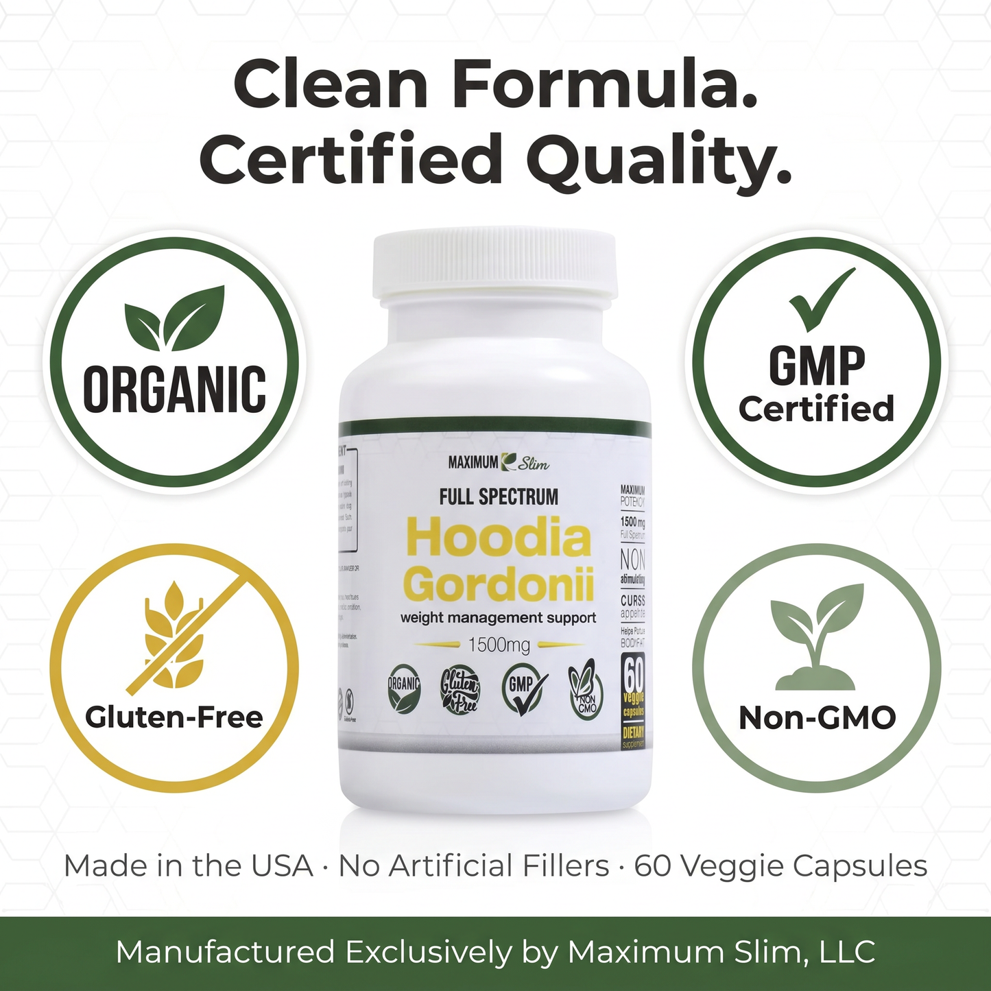 Maximum Slim Hoodia Gordonii Full Spectrum | Daily Wellness Support