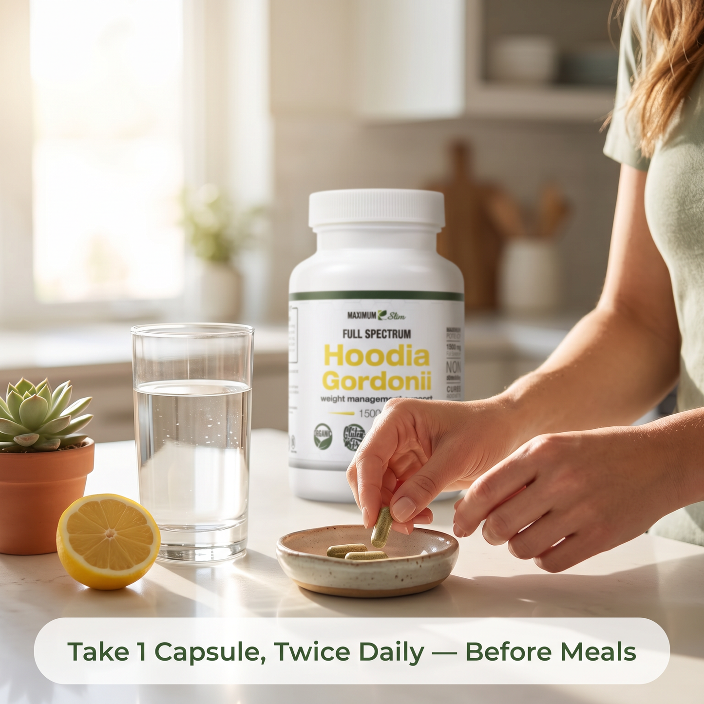 Maximum Slim Hoodia Gordonii Full Spectrum | Daily Wellness Support
