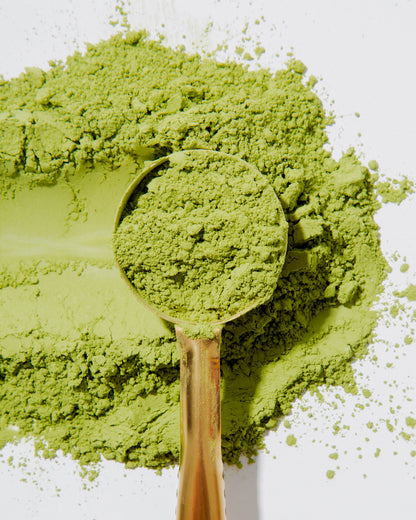 Organic Matcha Super Green Tea - Maximum Slim | Antioxidant-Rich for Focus & Energy