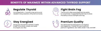 Thyroid Support Supplement - Maximum Slim | Promotes Healthy Metabolism