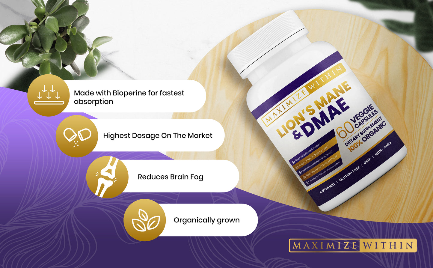 Lion’s Mane & DMAE Supplement - Maximum Slim | Supports Cognitive Function & Focus