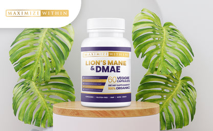 Lion’s Mane & DMAE Supplement - Maximum Slim | Supports Cognitive Function & Focus