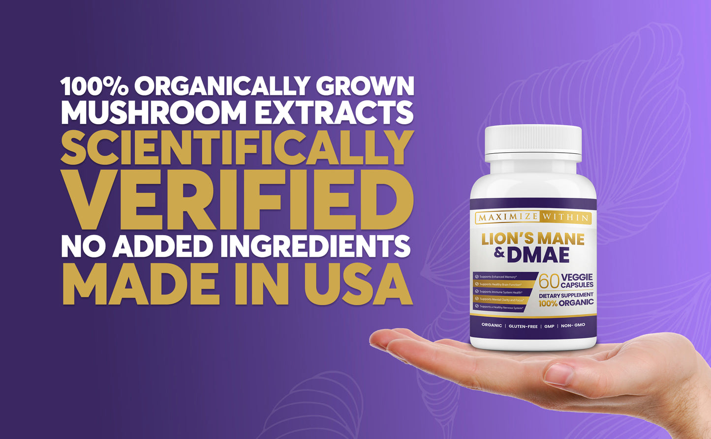 Lion’s Mane & DMAE Supplement - Maximum Slim | Supports Cognitive Function & Focus