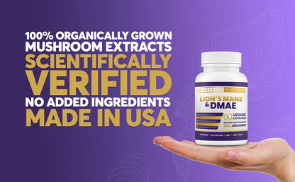 Lion’s Mane & DMAE Supplement - Maximum Slim | Supports Cognitive Function & Focus
