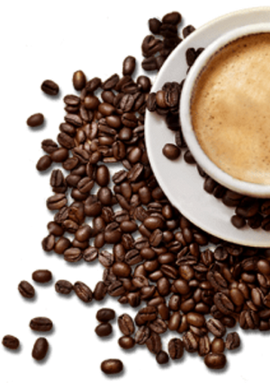 100%Organic Arabica Beans