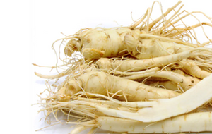 Ginger Root
